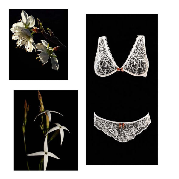 reggiseno: con o senza ferretto