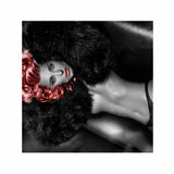 TOP TEDDY MECEDORA LINGERIE - BLACK BUTTERFLY