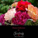 Collezione PEONIE - completino FANCY RED VELVET